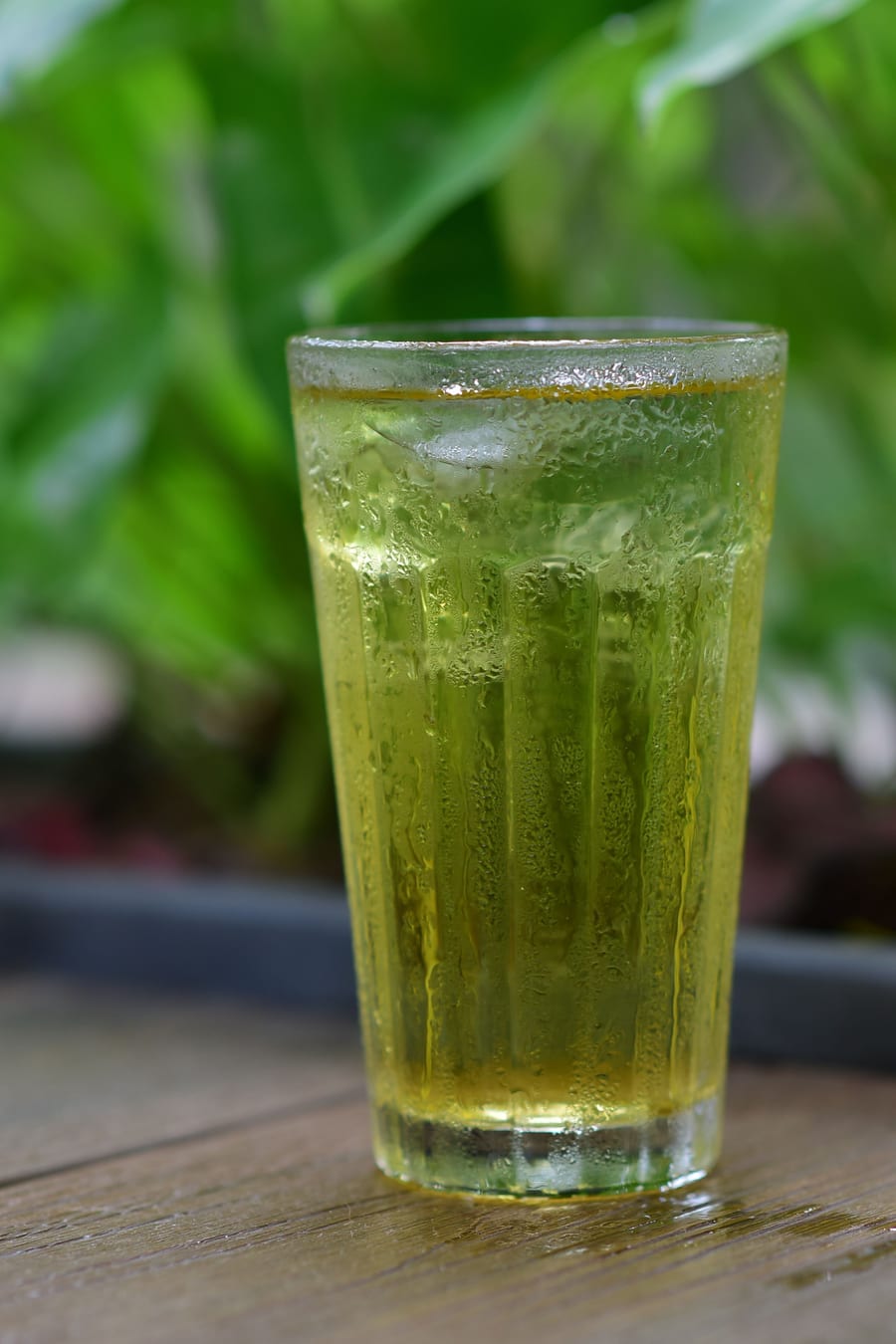 Green Tea (ગ્રીન ટી)