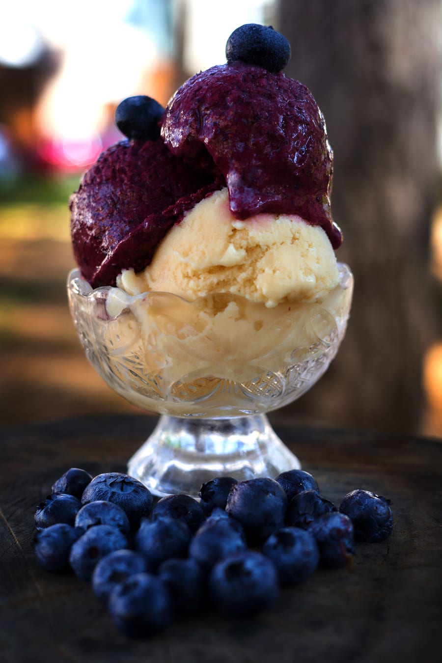 Sp. Blue Berry ice cream (स्पेशल ब्लूबेरी)