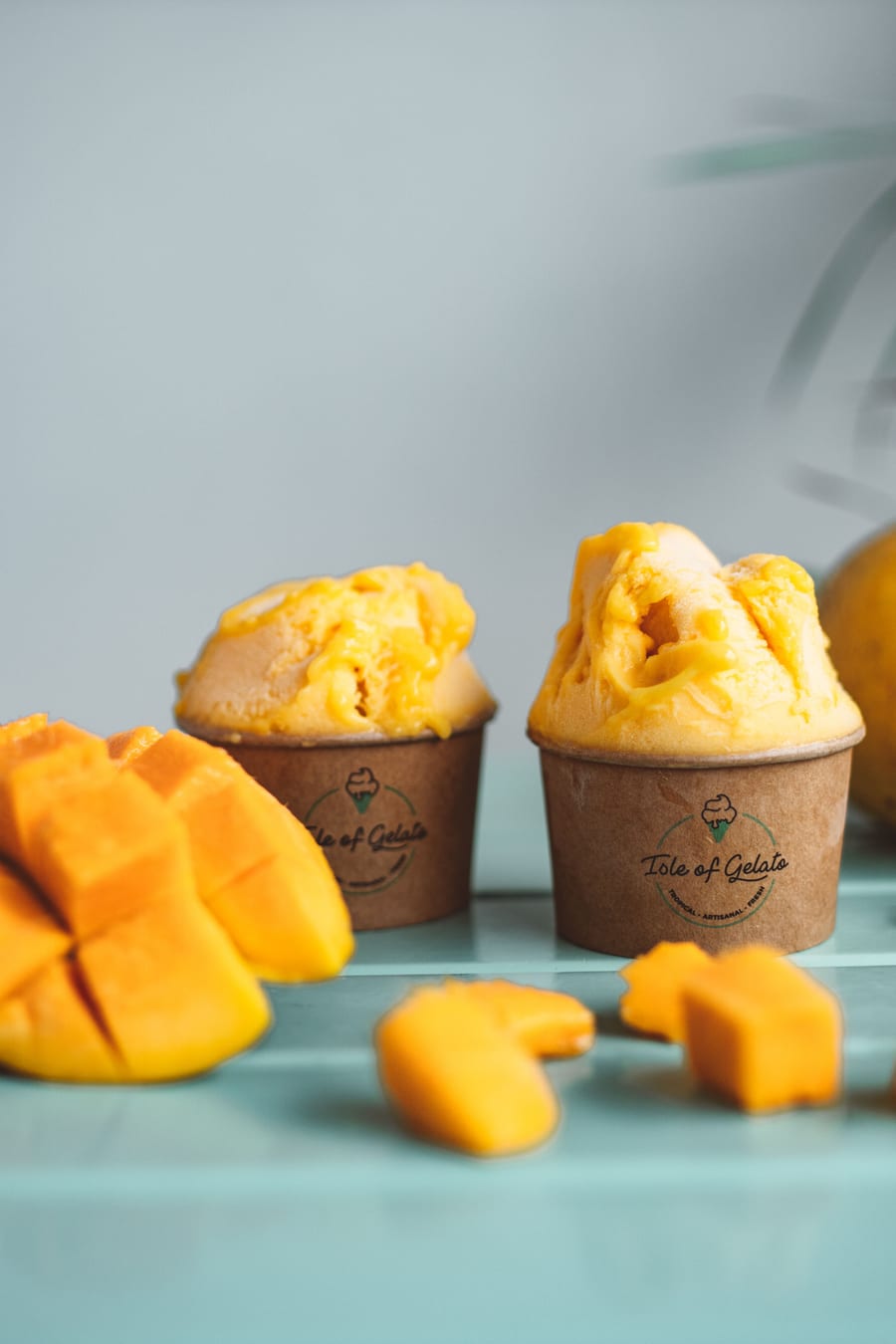 Mango Plain ice cream (मैंगो प्लेन)