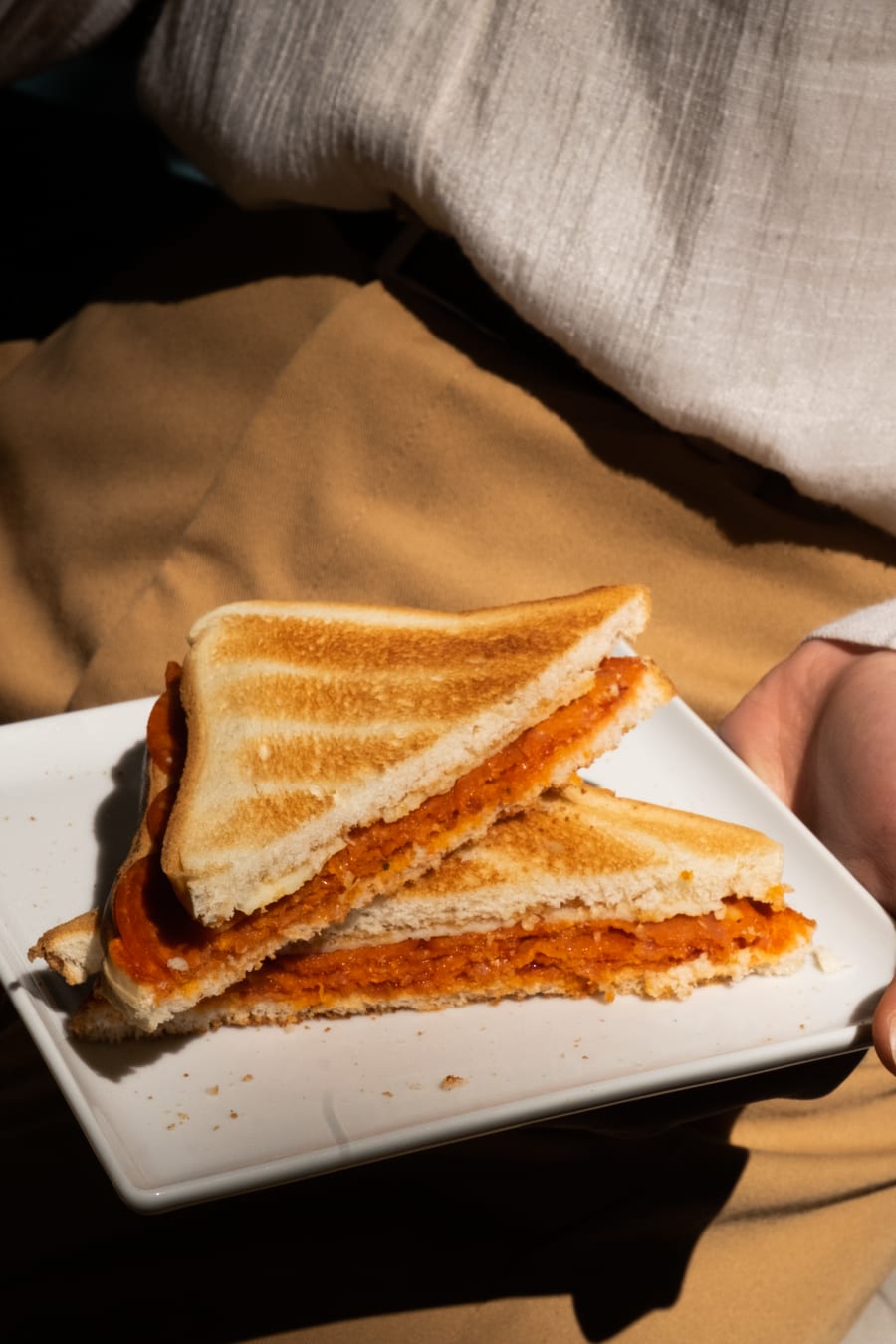 Tandoori Masala Sandwich